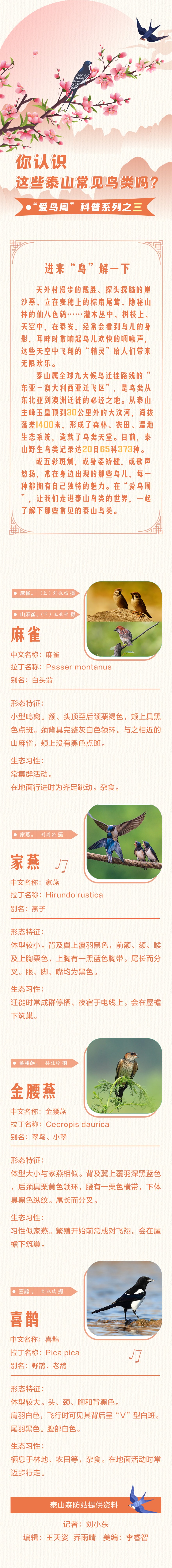 愛(ài)鳥(niǎo)日3.jpg
