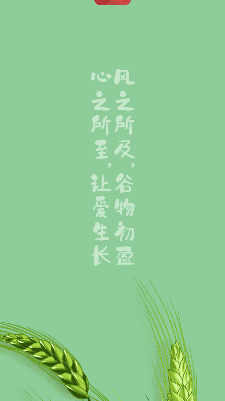 5.gif