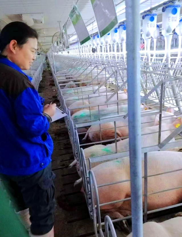 QQ截图20240516185611.png