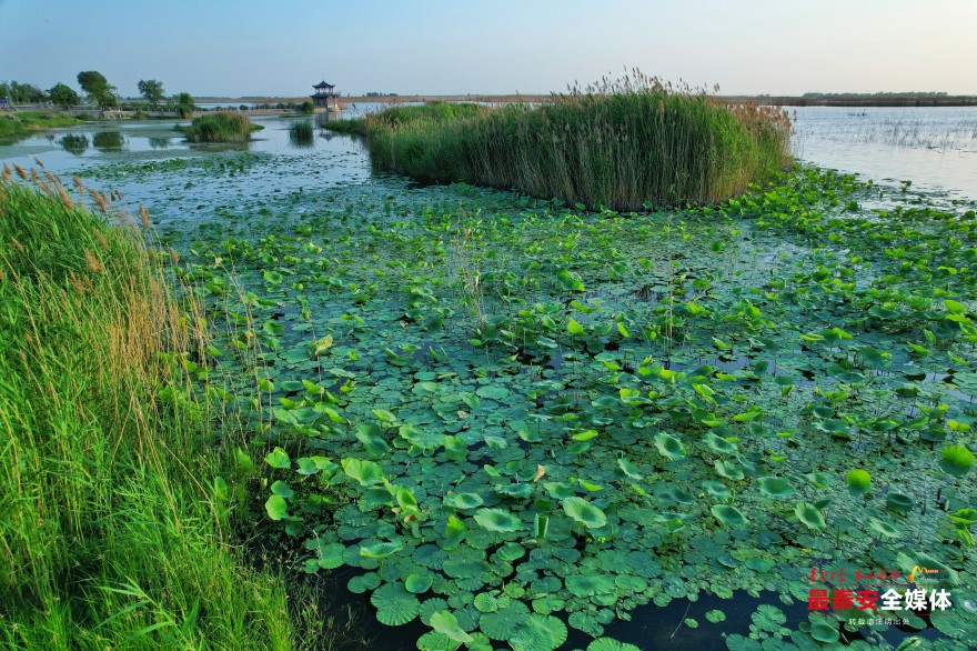 東平湖畔綠意蔥蘢。.jpg