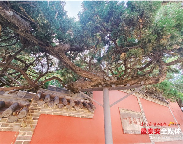 QQ截圖20240627084432.jpg