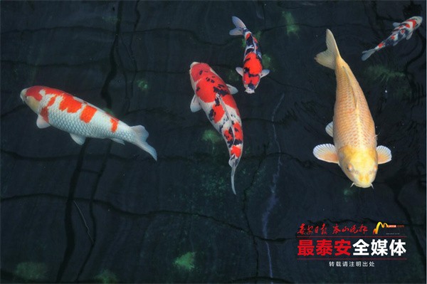 QQ截圖20240702154819.jpg