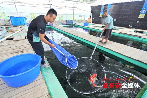 QQ截圖20240702154721.jpg