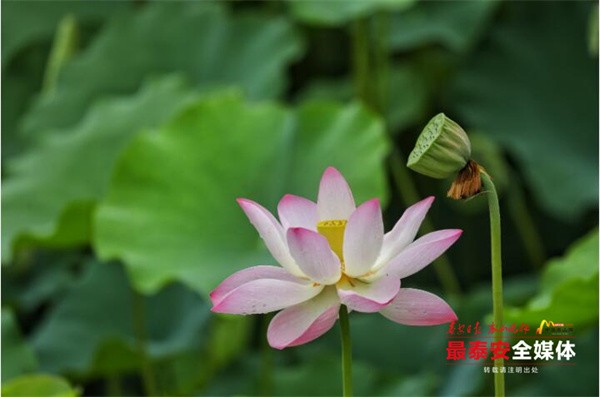 QQ截圖20240711084218.jpg