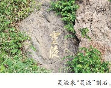 QQ截圖20240718074800.jpg