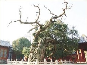 QQ20240808-090703.png