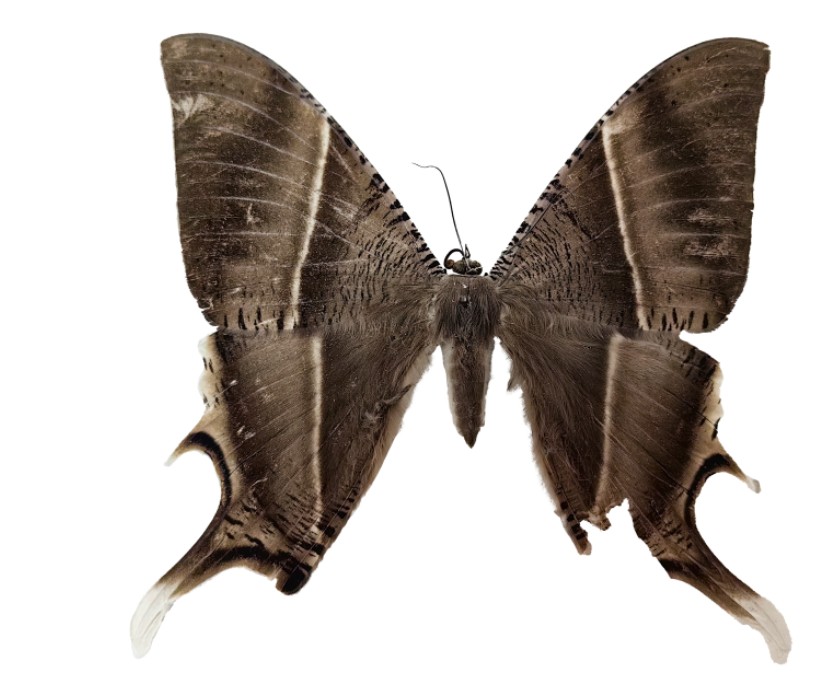 QQ20240823-162155.png