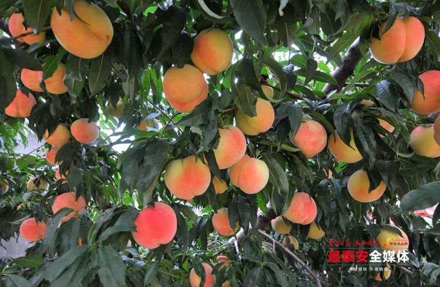 QQ20240823-172628.jpg