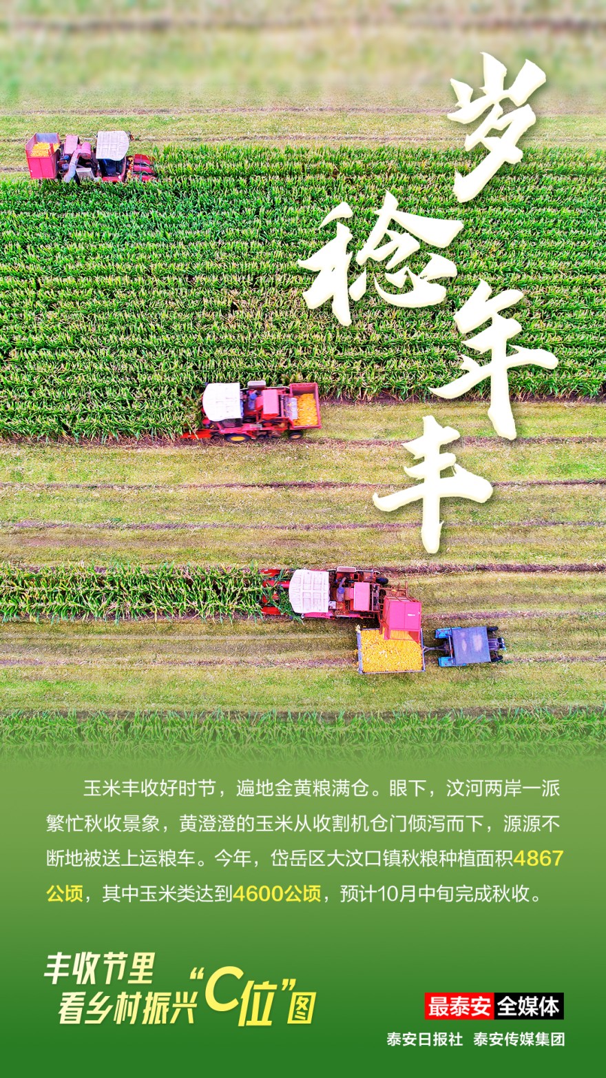 歲稔年豐.jpg