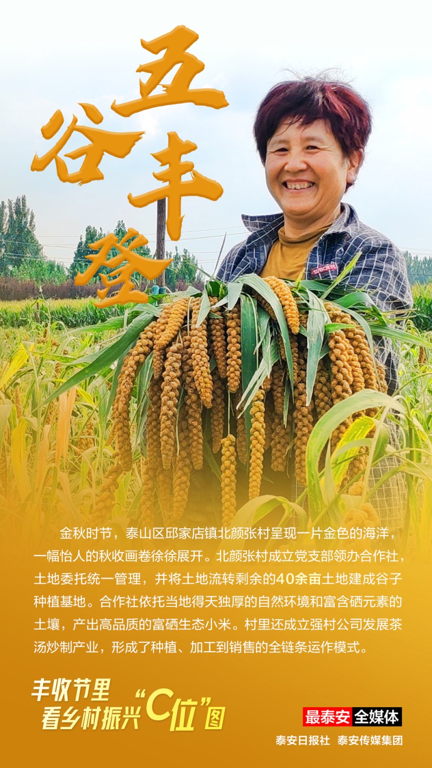 五谷豐登.jpg