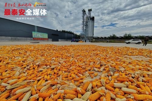 binary_middle (5)_副本.jpg