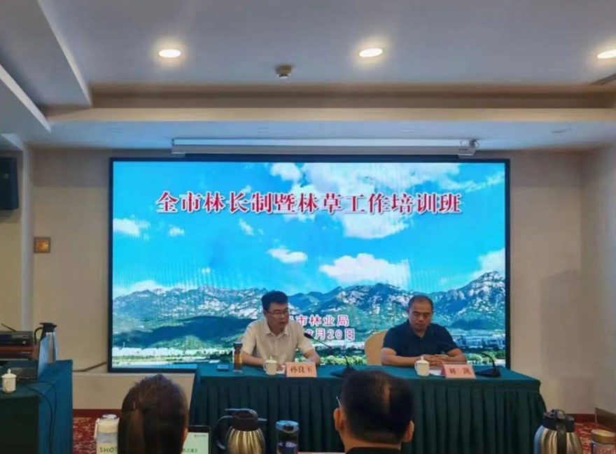 QQ20240923-153502.png