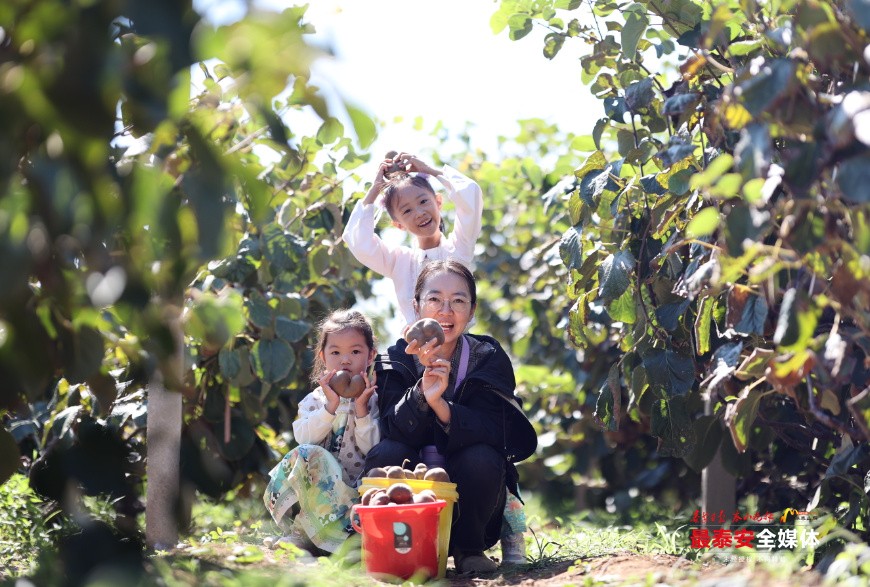 QQ20241003-195139.jpg