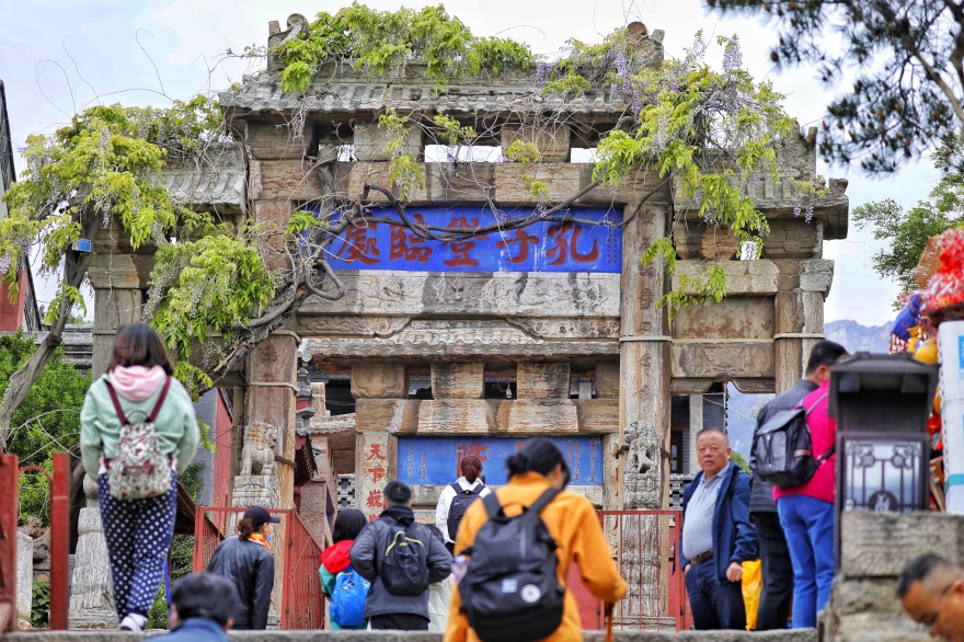 泰山孔子登臨處牌坊上紫藤花綻放。資料圖.jpg