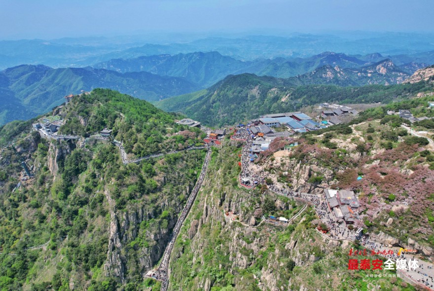 QQ20241023-182029.jpg