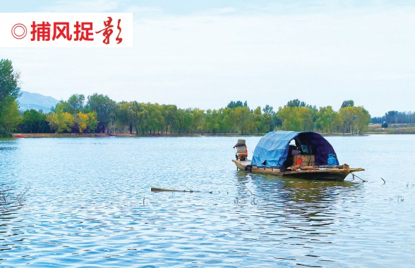 QQ截圖20241024084555.png