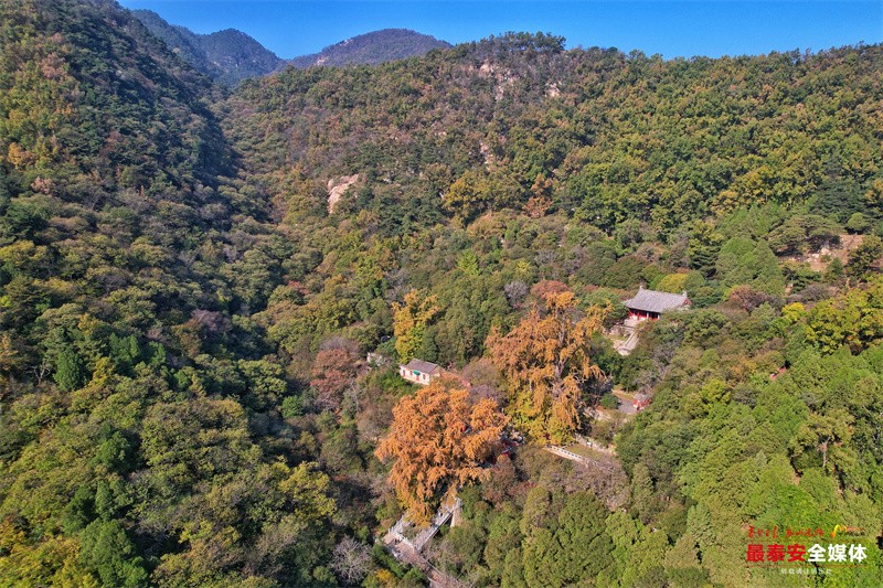 秋訪泰山玉泉寺 秋風秋葉秋意濃(3314965)-20241024164149.jpg