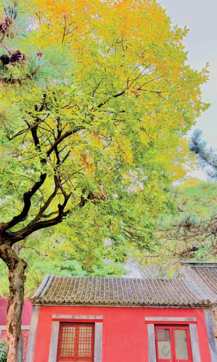 QQ截圖20241024085901.png