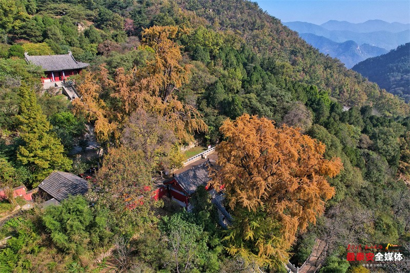 秋訪泰山玉泉寺 秋風秋葉秋意濃(3314961)-20241024164139.jpg