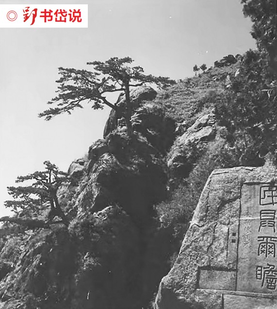 QQ截圖20241024083333.png