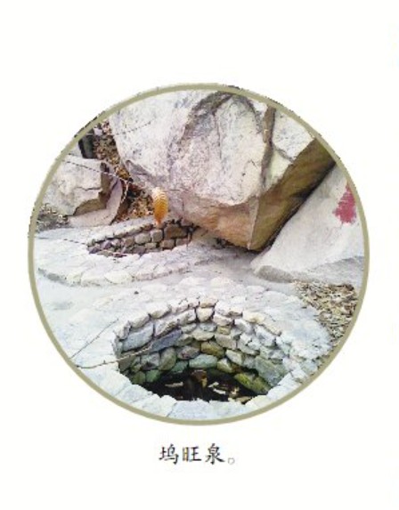 QQ20241031-080158.png