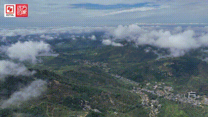 640 (7).gif