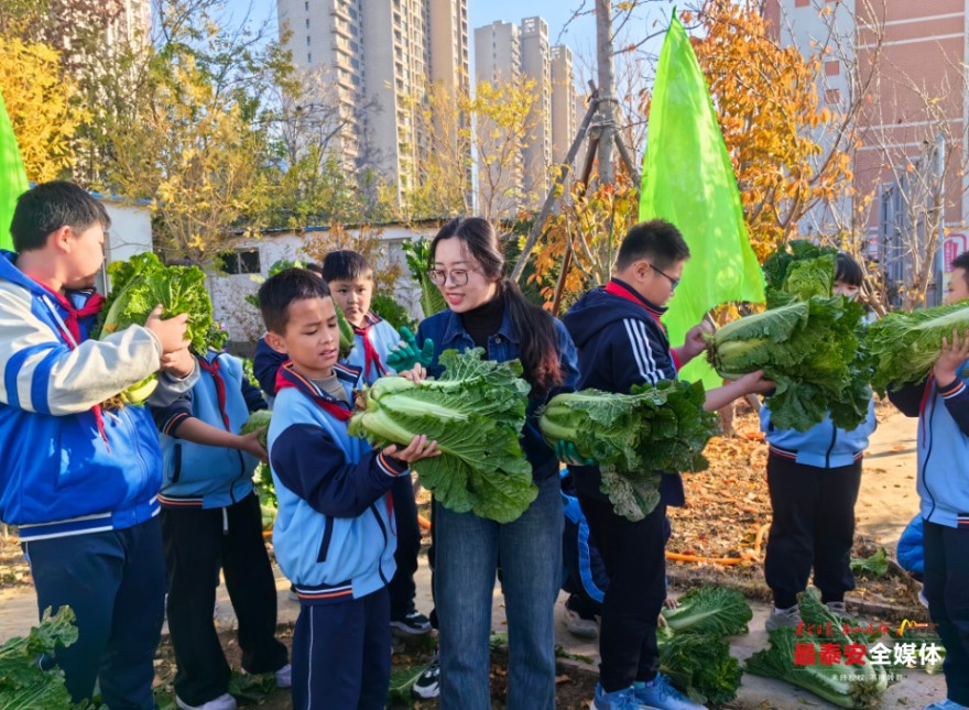 QQ20241125-105256.jpg